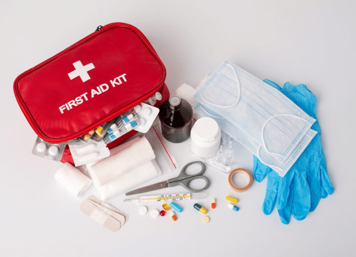 First Aid Kit for Pets