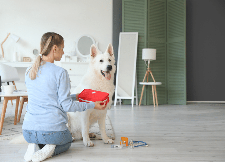 Pet First Aid Kit for Dogs